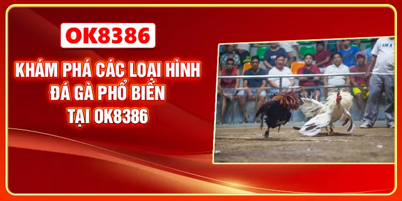 Khám phá các loại hình đá gà phổ biến tại OK8386